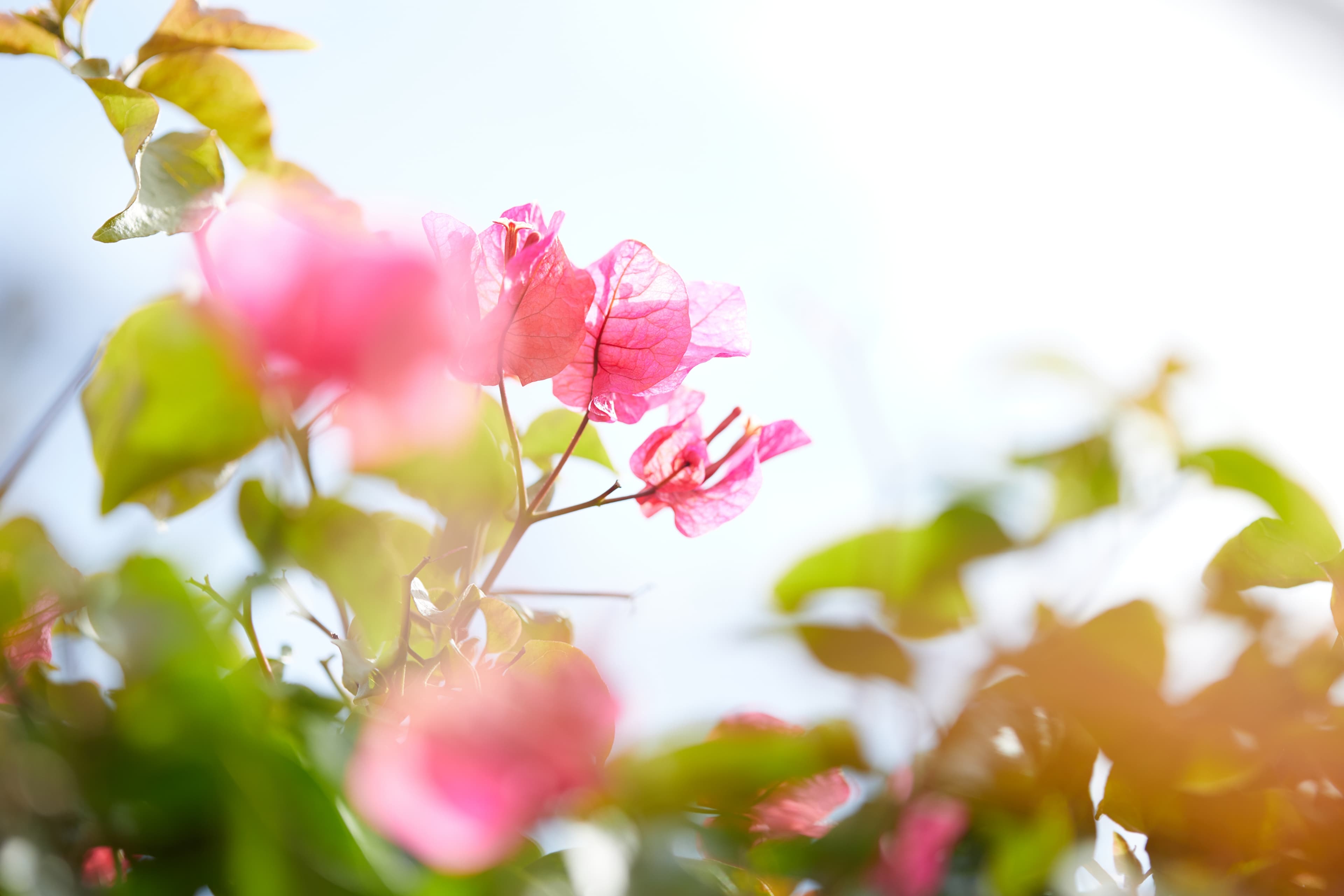 株式会社カリタス