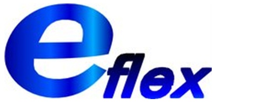 株式会社イーフレックス
