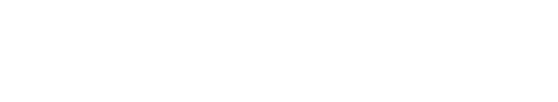 株式会社パルサー