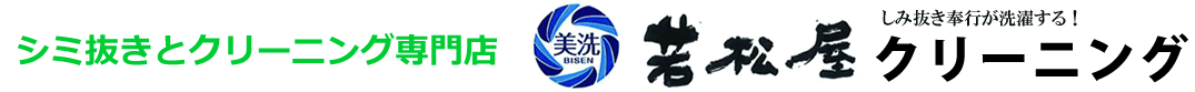 株式会社美洗若松屋