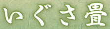 株式会社いぐさ