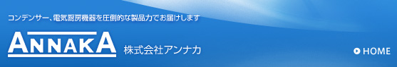 株式会社アンナカ