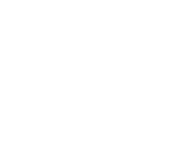 シュタインズ株式会社