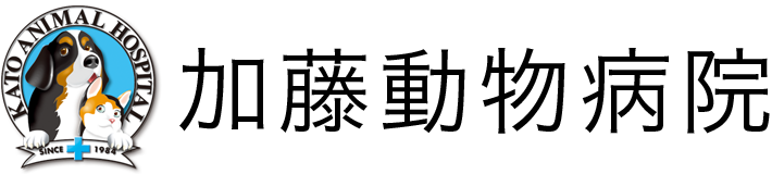 有限会社加藤動物病院