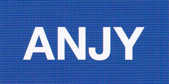 株式会社アンジー