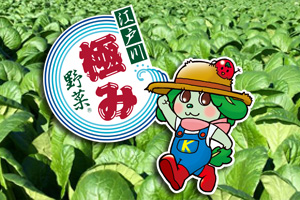 株式会社ランドワークス