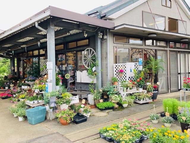 有限会社杉山園