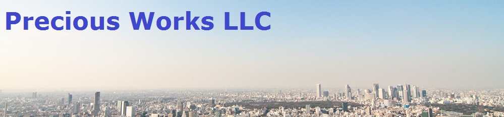 合同会社プレシャスワークス