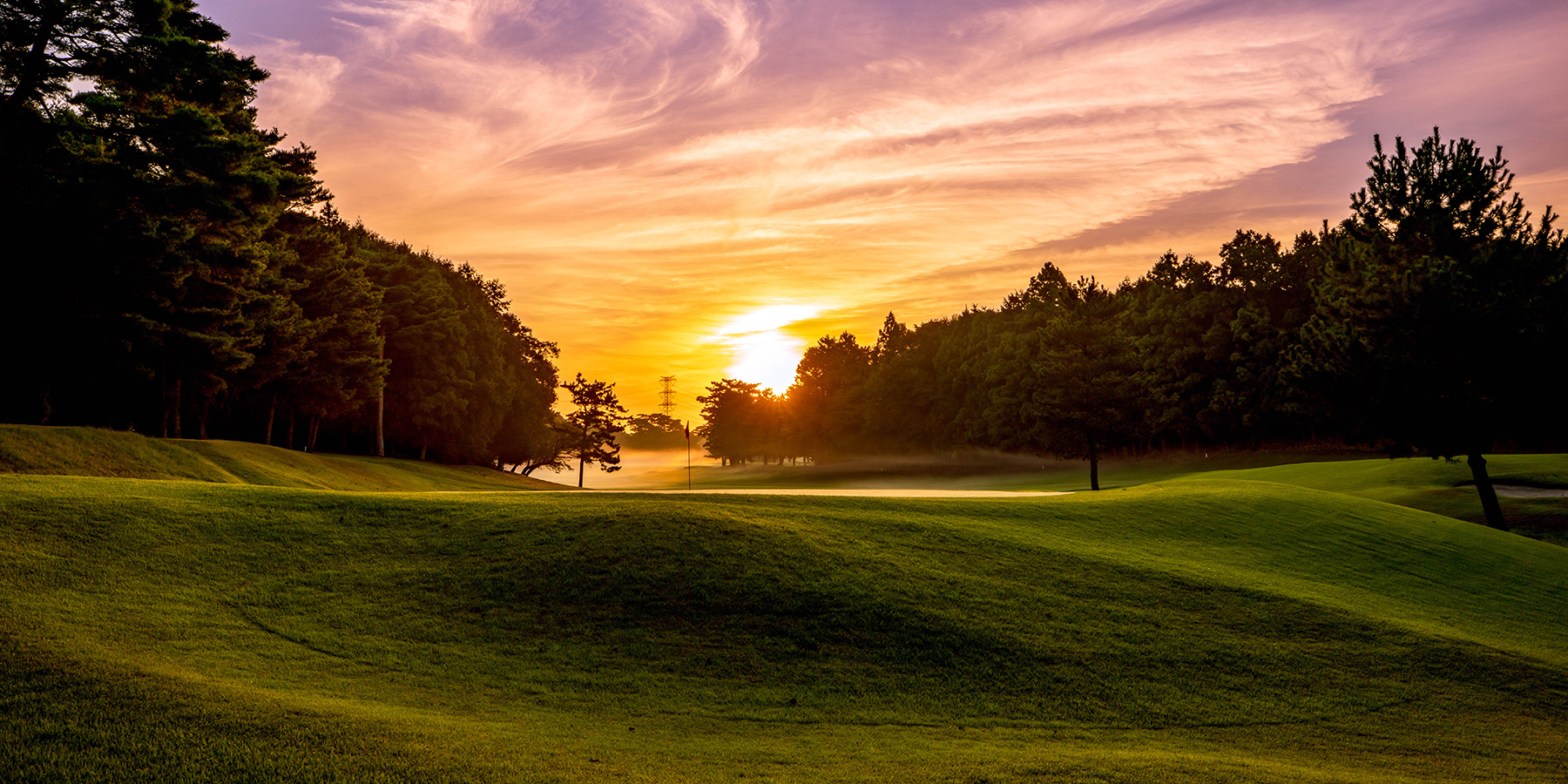 株式会社金乃台