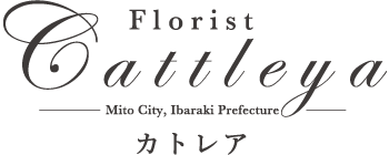 有限会社カトレア