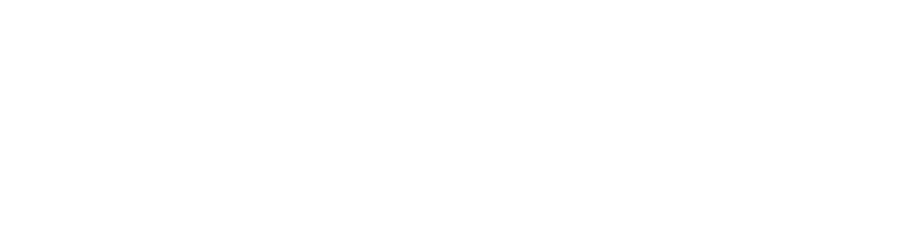 有限会社パルス