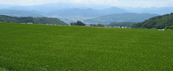有限会社信州荻原農園