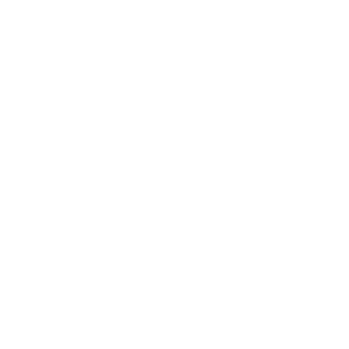 株式会社アイコン