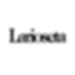 有限会社ラ・ピスタコーポレーション