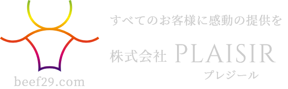株式会社ＰＬＡＩＳＩＲ