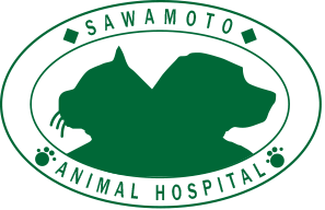 株式会社さわもと犬猫病院