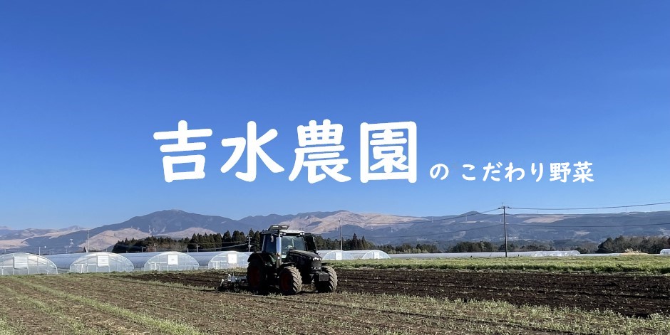 有限会社吉水農園