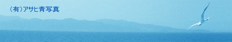 有限会社アサヒ青写真