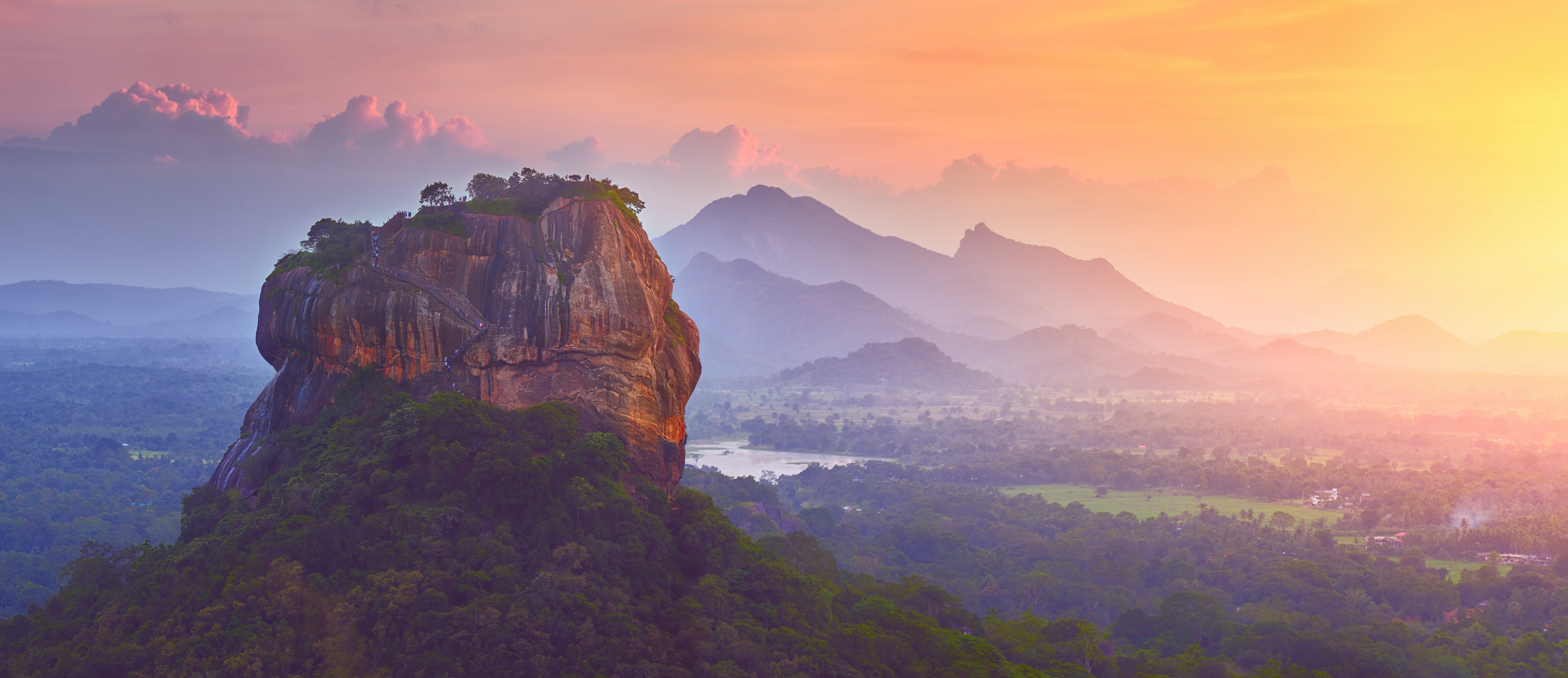 アクシオヘリックス株式会社