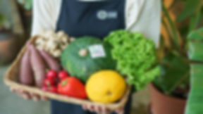 有限会社オーガニック市場てんぶす