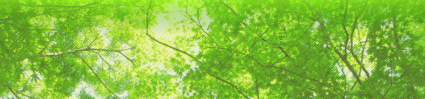 株式会社千葉測量技研