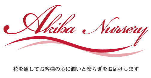 株式会社アキバナーセリー