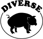 株式会社ディバース
