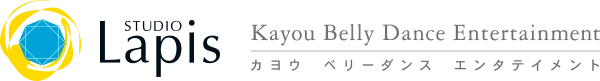 株式会社ラピス