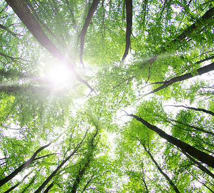 有限会社栄和サービス