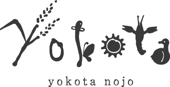 有限会社横田農場