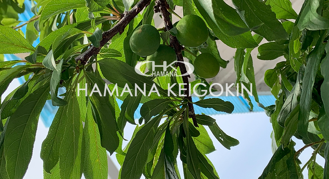 浜名軽合金有限会社