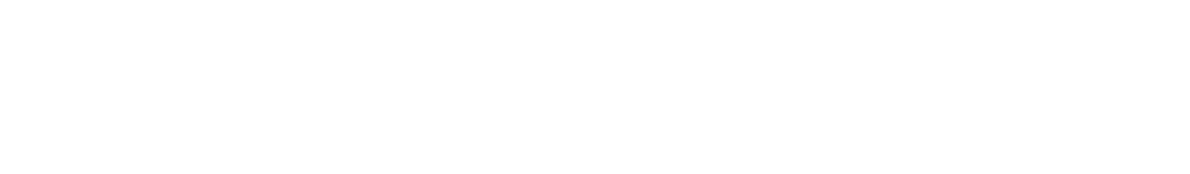 株式会社アドニス