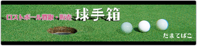 株式会社球手箱