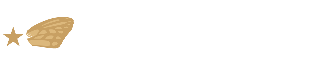 株式会社アポロホールディングス