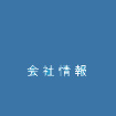 株式会社デジタルマイクロシステムズ