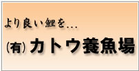 有限会社カトウ養魚場