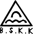 株式会社ビッグストーンケーケー