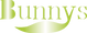 株式会社バニーズ