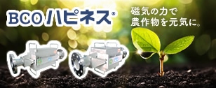 株式会社雲仙野菜出荷組合