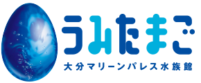 株式会社マリーンパレス