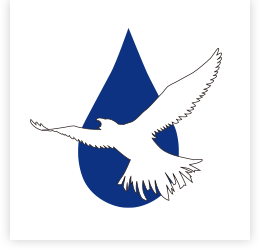 合同会社ねっか