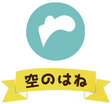 株式会社空のはね