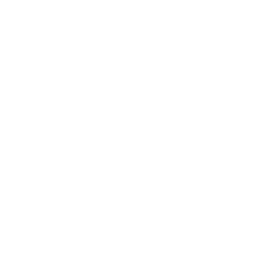 株式会社Ｂｌｕｅｂｏｒｎ