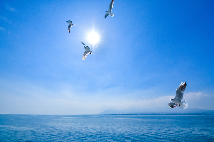 株式会社カイオム・バイオサイエンス