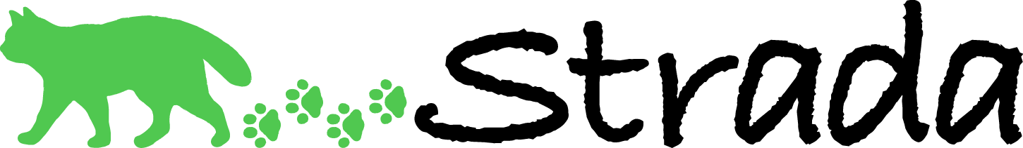 ストラーダ合同会社