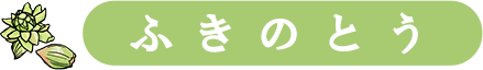 株式会社ふきのとう