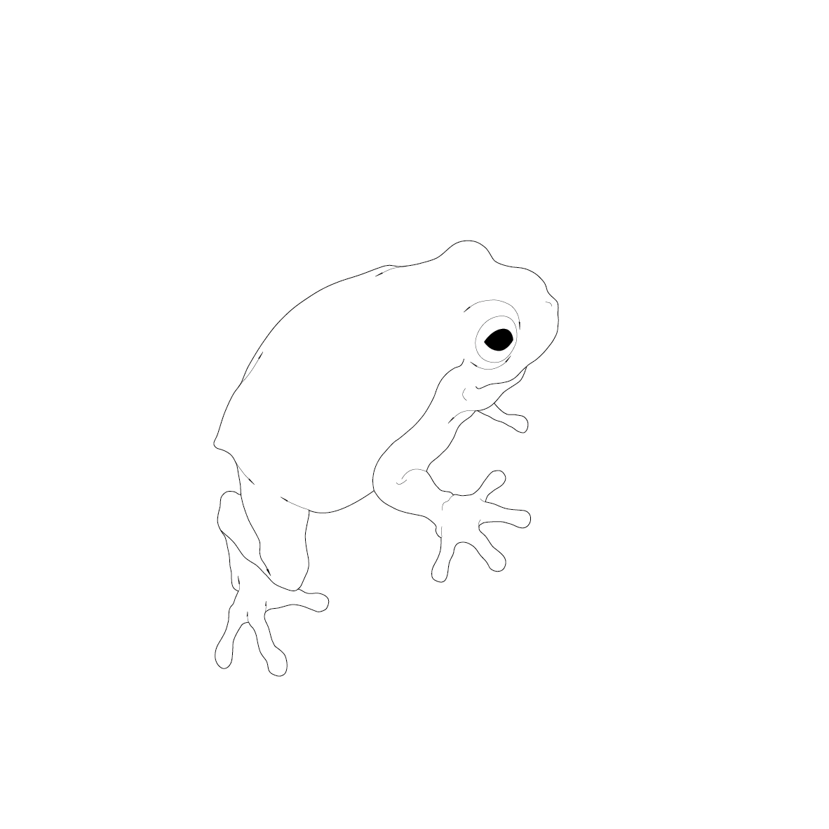 有限会社フロッグステラ