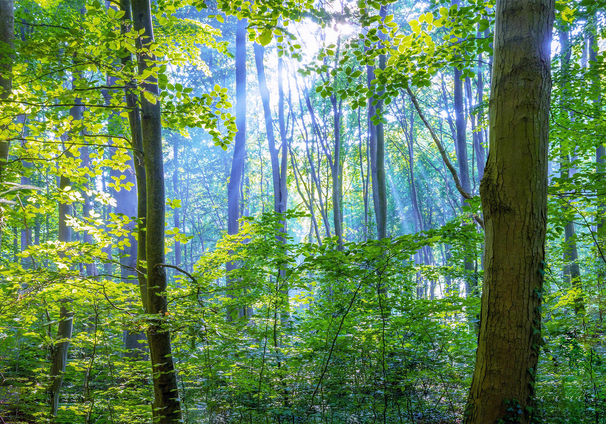 有限会社ヒサヨシ企業