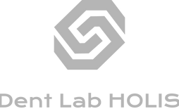 有限会社ホリス