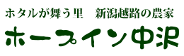 有限会社ホープイン中沢